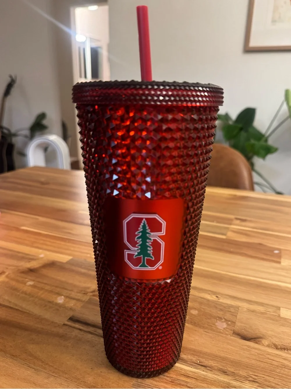 Starbucks Red Studded Tumbler with Straw